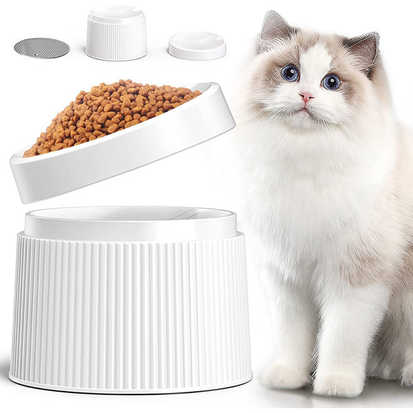 Cat food outlet elevated feeders